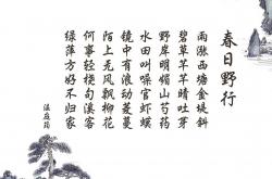开云sport-孤道上的逆袭，2026世界杯黑马之战，京多安如何用经验撬动瑞士与波兰的天平