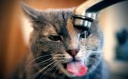 开云体育app-北极光下的致命一吻，2026揭幕战，冰岛用巴雷拉的最后一击撕裂北欧宿命