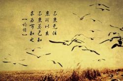 开云体育APP下载-沙漠风暴中的孤胆狙击，2026世界杯黑马之战，哥伦比亚如何用阿诺德的一剑封喉终结阿联酋神话