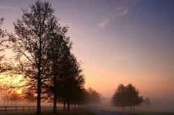 开云sport-失败者的皇冠，当步行者鏖战篮网，詹姆斯的眼睛亮了