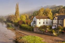 开云体育登录-戴维斯杯翻盘与年终总决赛交响，兹维列夫的灼热之焰