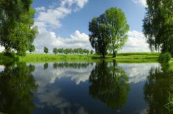 开云体育APP下载-逆境中的王者，哈登37+11史诗级逆转，灰熊末节翻盘广东队