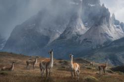 开云体育在线-决胜局17-19落后绝境逆转！印尼队翻盘印度队夺冠，石宇奇连胜成定海神针