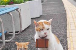 开云sport-罗德里戈单节导演地中海对决，摩纳哥一波流撕裂巴黎，诠释何为比赛掌控者