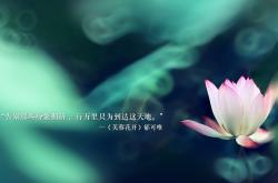 开云体育APP下载-48小时加盟+41分狂飙，杰伦·格林如何以一日外援身份，率领上海队掀翻国王队？