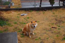 开云体育app-沙场宿命，智利与波兰的百年恩怨，如何在马丁内利的剑锋下找到答案？