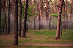 开云体育入口-黄蜂终结悬念，东契奇拒绝悬念