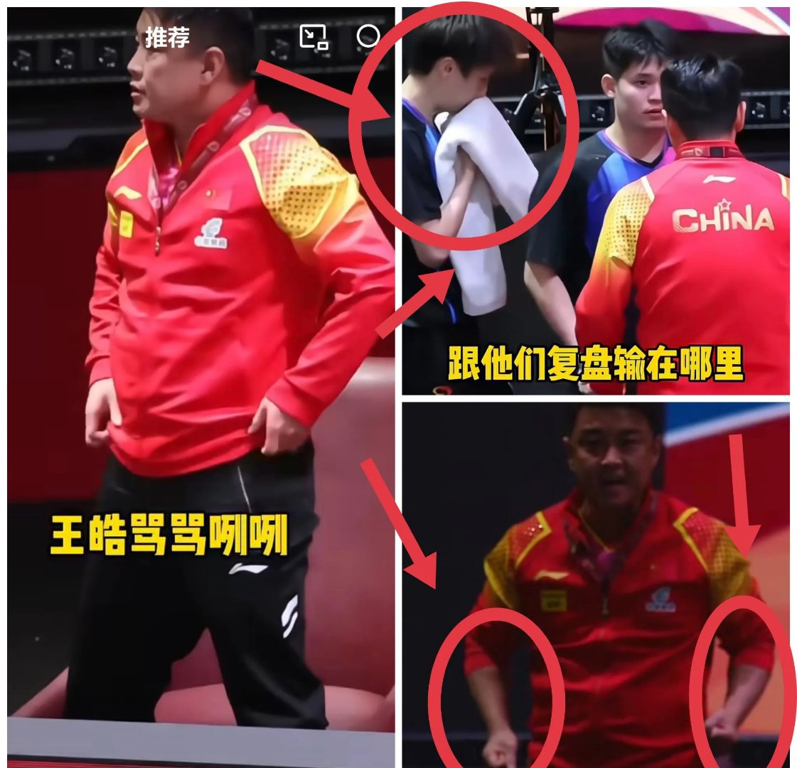 中国乒乓球队翻盘日本乒乓球队,王皓制霸全场 中国乒乓球队翻盘日本乒乓球队,王皓制霸全场