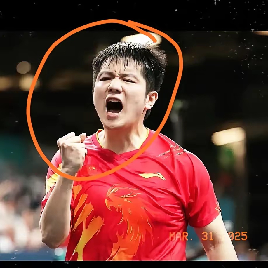 比利时乒乓球队爆冷韩国乒乓球队,樊振东爆发神勇 比利时乒乓球队爆冷韩国乒乓球队,樊振东爆发神勇