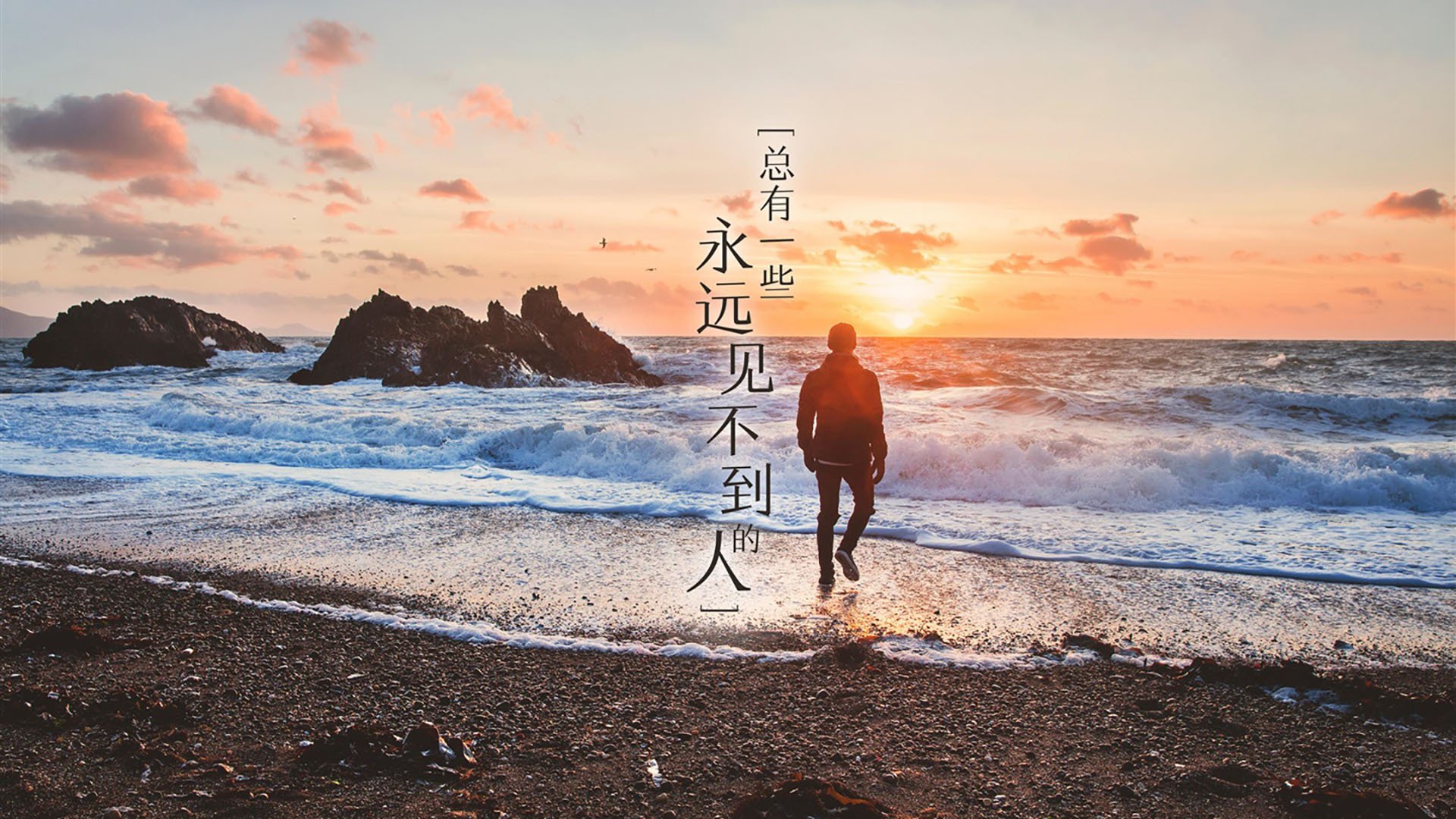 鏖战德国队!波兰队王皓状态火热领衔胜利