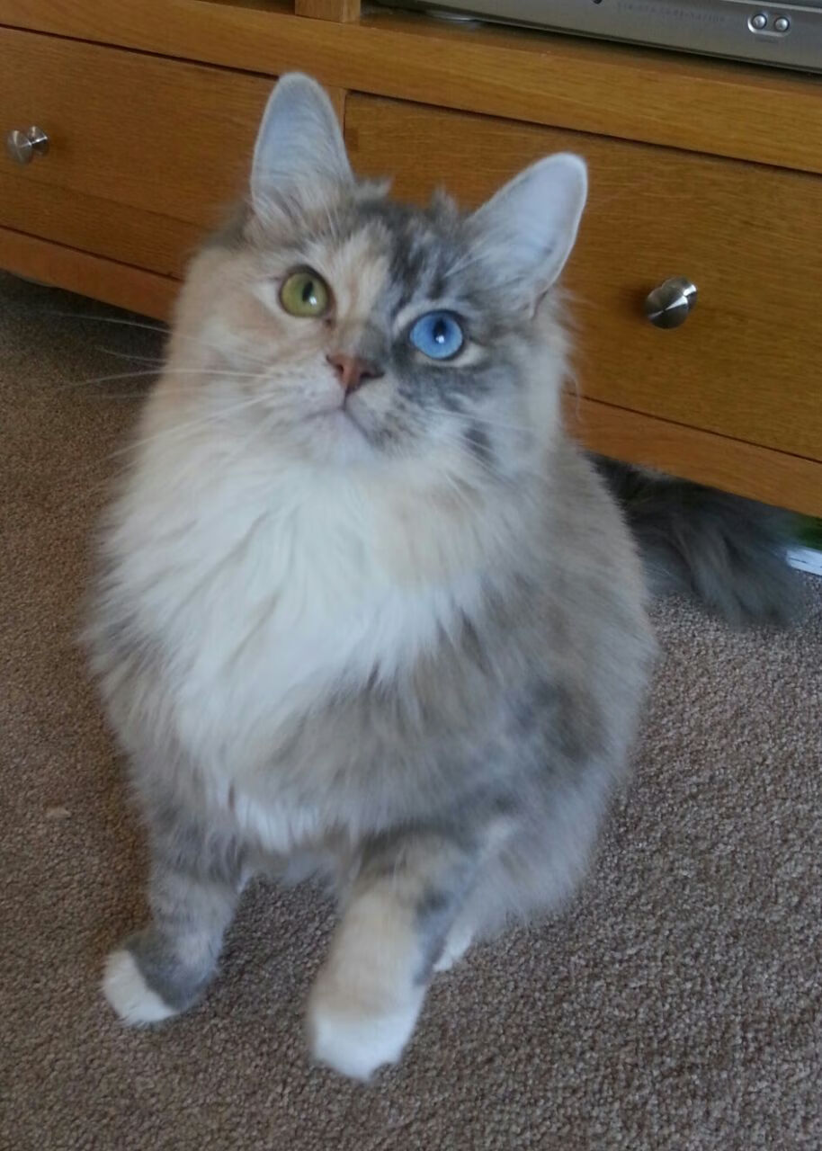 隐形指挥，勒克莱尔如何以局外人姿态，引领索伯力克哈斯