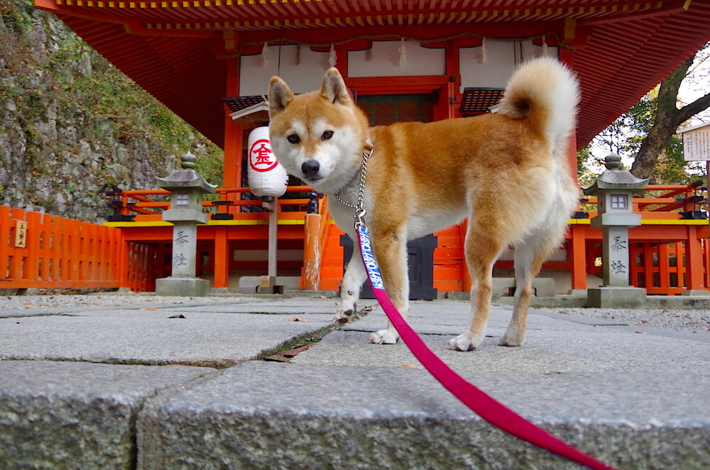 用左脚在莱比锡写下法国传说,当一束光刺破德国冬夜
