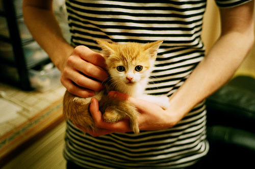 冰与火之歌,阿尔卡拉斯以逆转烈焰,重燃ATP总决赛的永恒战场