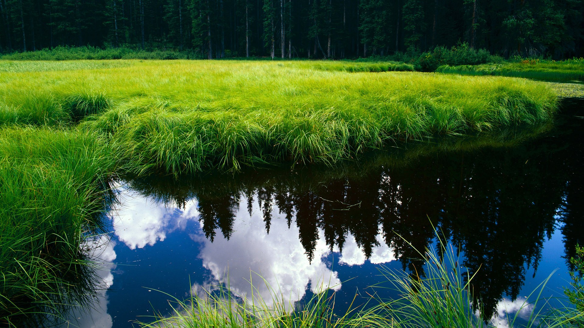 银箭风暴席卷伊莫拉，迈凯伦绝对统治，阿隆索大师级表现征服赛道