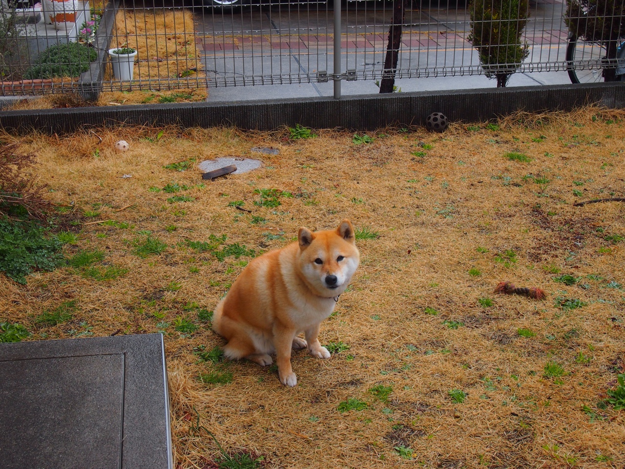 绝杀之夜!哈弗茨头顶脚踢导演逆转