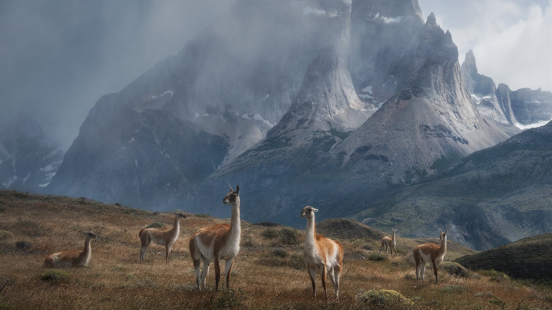 登峰造极的一夜,当冰冷数据遇上滚烫的英雄主义