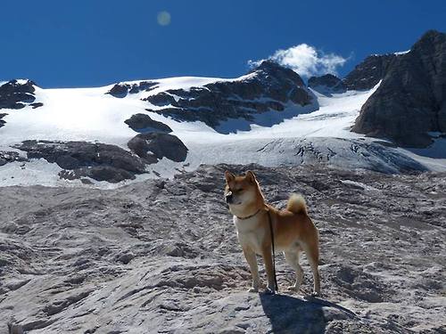 量子纠缠之夜,马丁内利如何成为唯一打破平衡的观测者