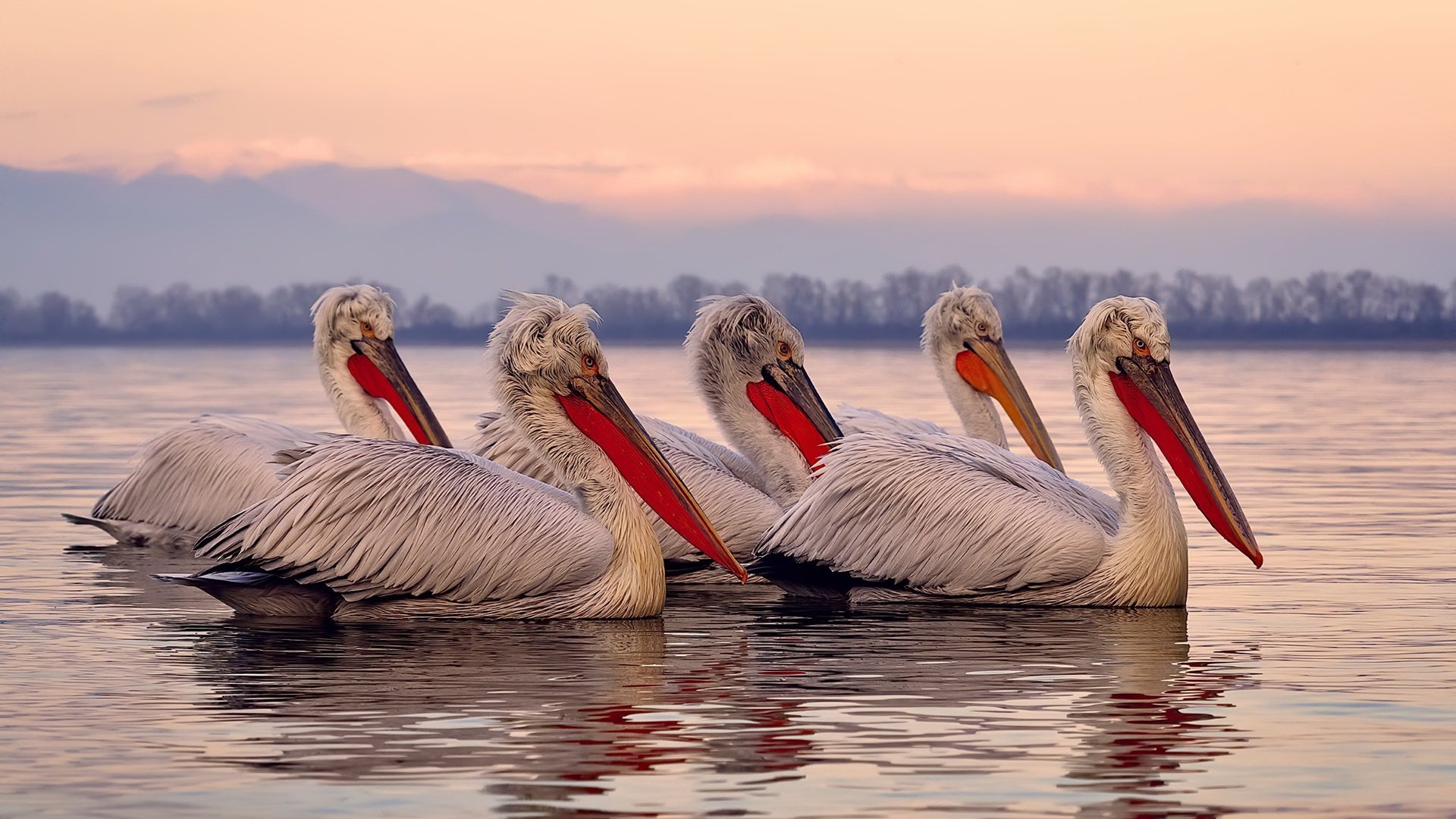 冰与火的艺术，当老妇人的针线刺穿冰岛的长城