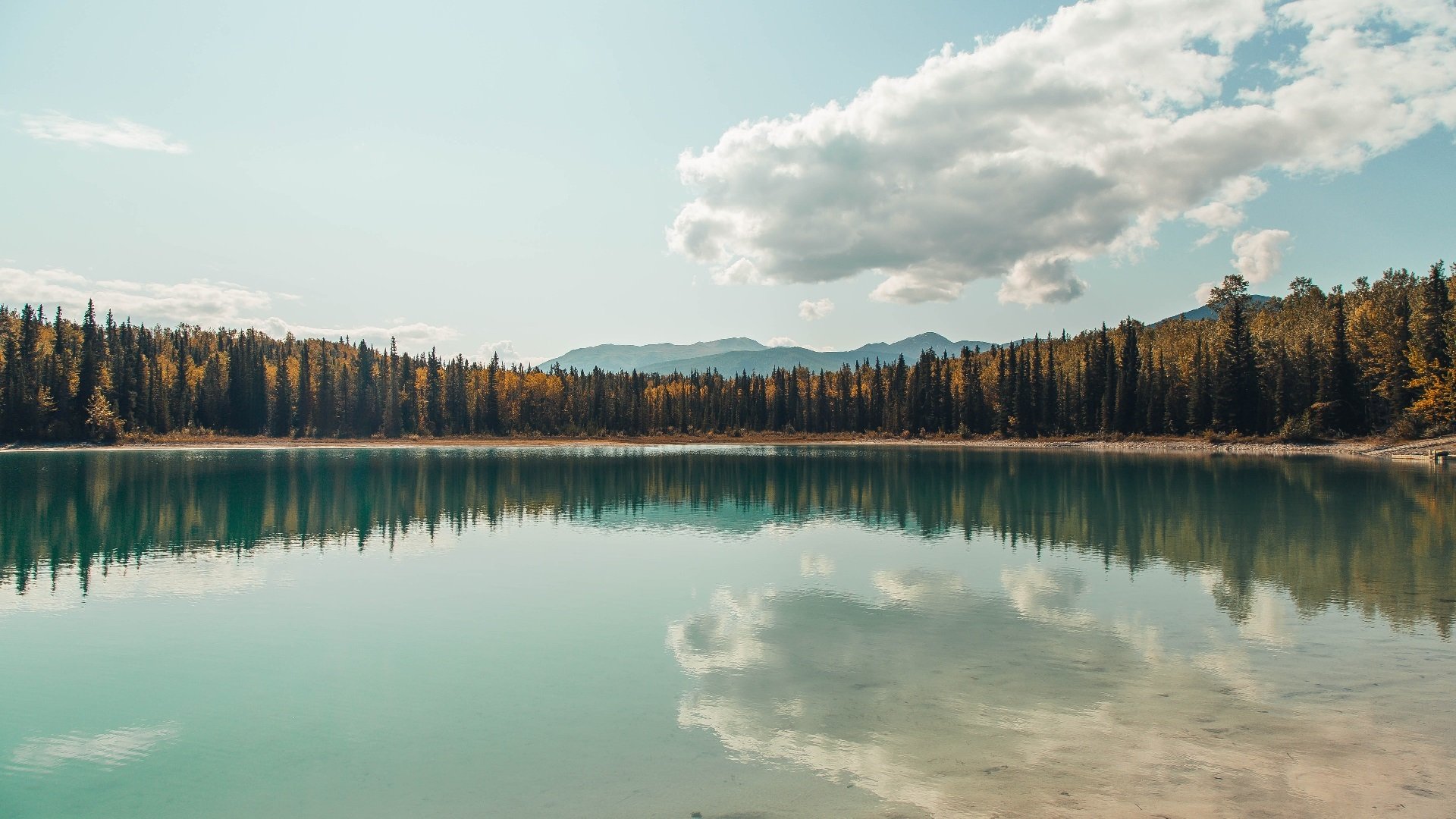 节奏掌控者,从莱比锡红牛的压迫到佛罗伦萨的优雅,拉什福德如何成为胜负天平上的关键先生