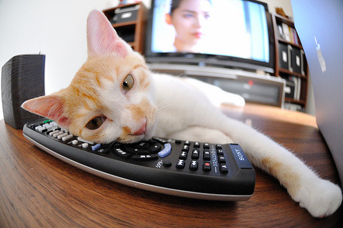 虚构的胜利，真实的哈兰德