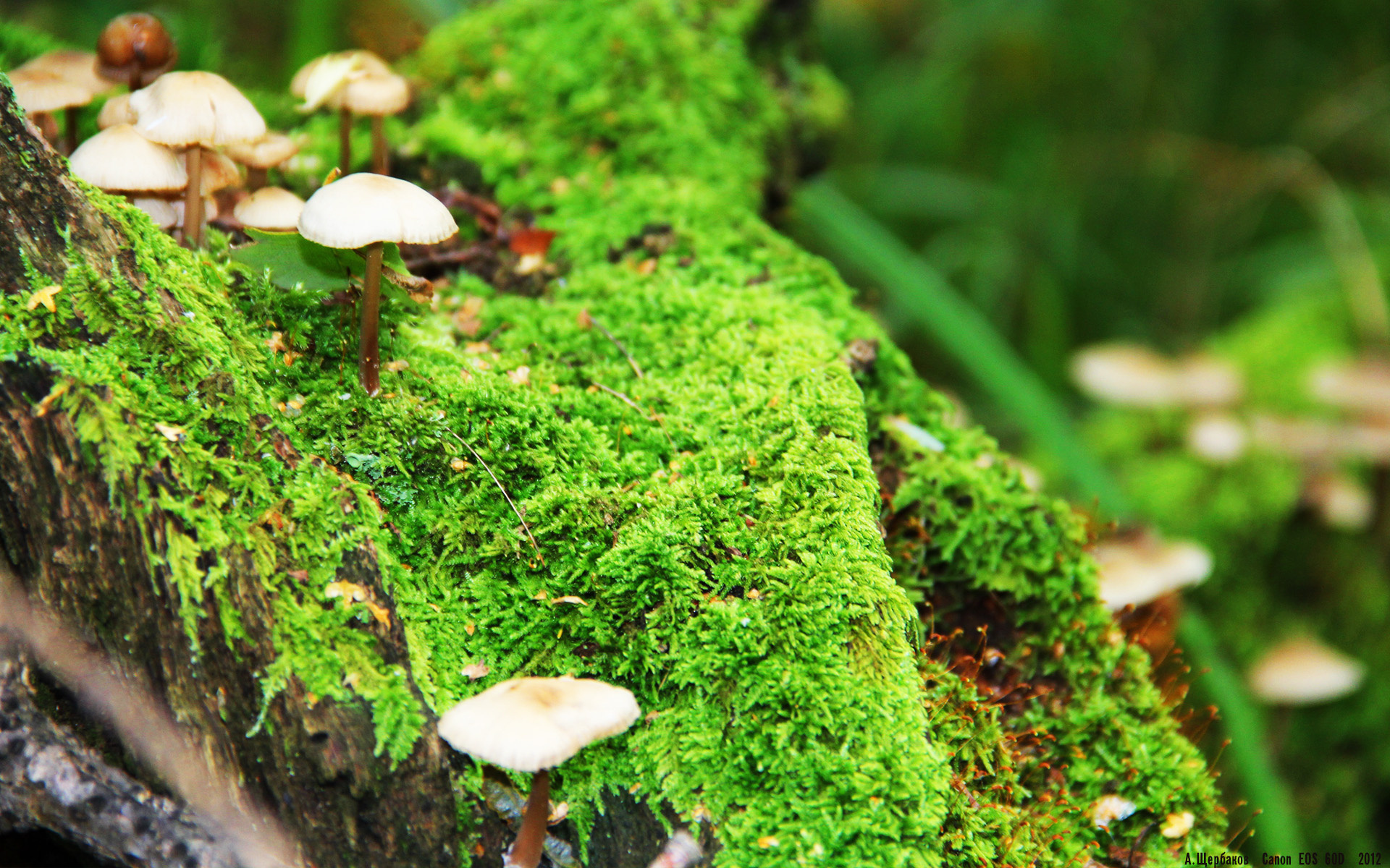 诺坎普心跳骤停的624秒，门迪如何用一次防守，定义了足球的唯一性