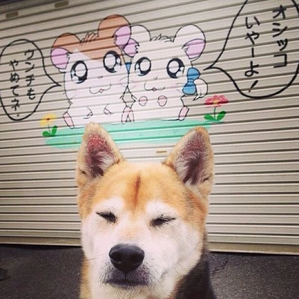 风暴中的灯塔，扎克·拉文在魔术黄蜂激战中的稳定风暴