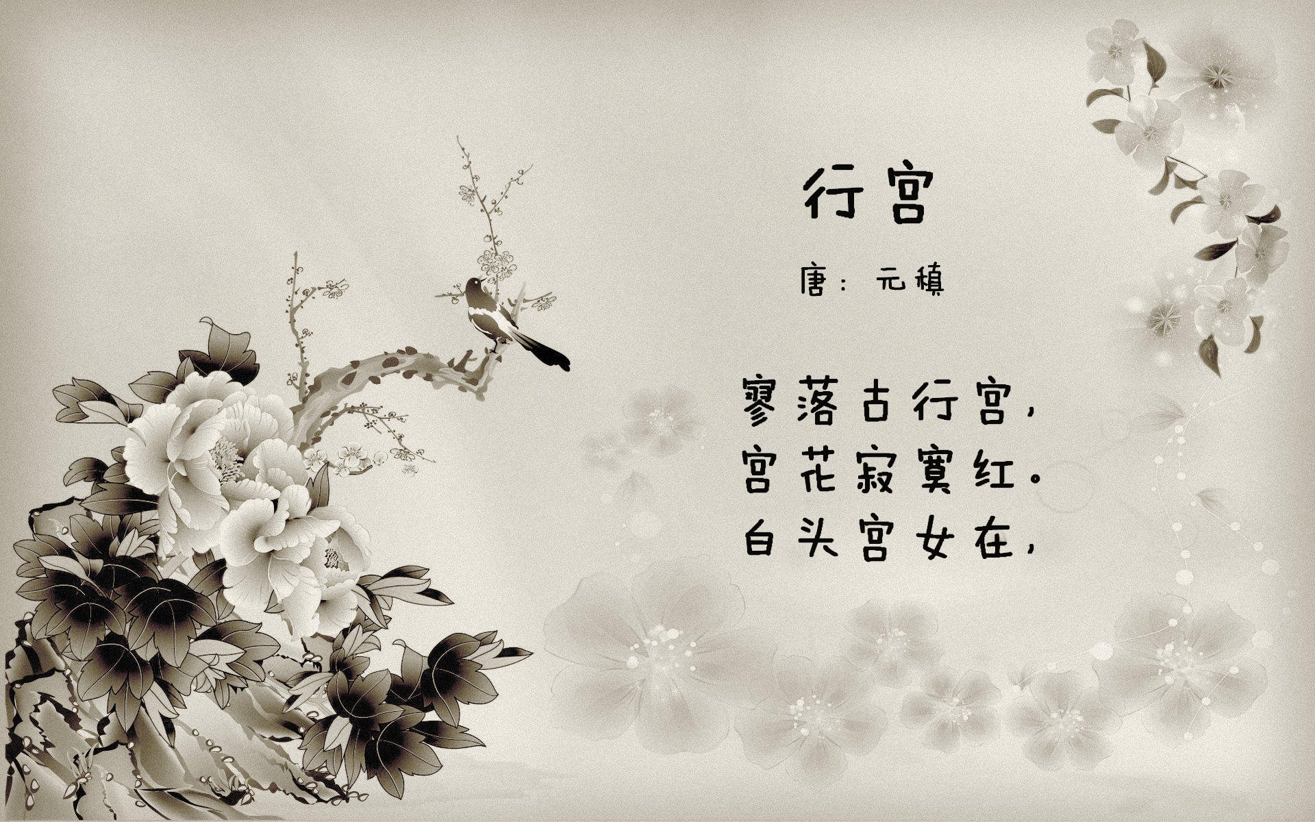 逆转的蓝与黑,2026世界杯C组,德容用一场比赛定义了德国的另一种荣耀